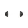 vidaXL Barbell Set 66.1 lb - 91398