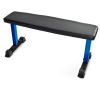 Strength Flat Utility Weight Bench (600 lb Weight Capacity) - Blue